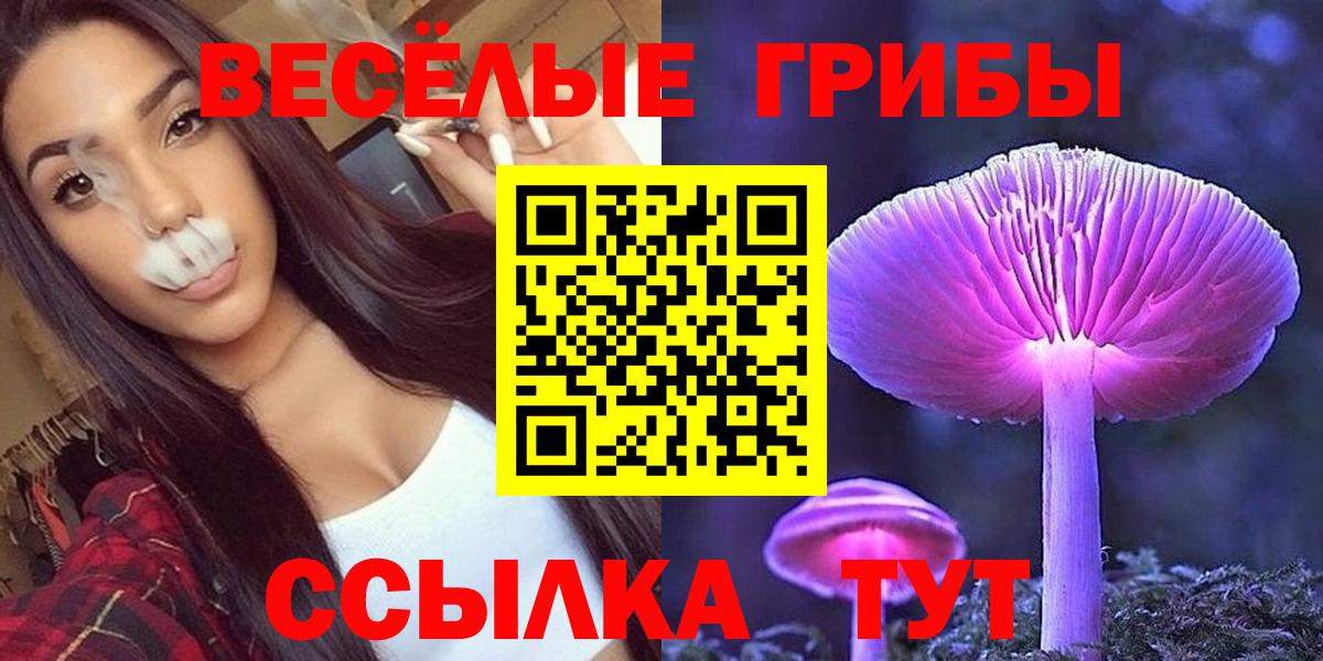 Галлюциногенные грибы мухоморы  Псилоцибиновые грибы мицелий  Вход с VPN  Чебоксары 
